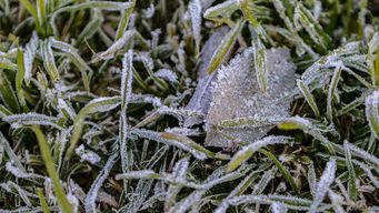 nubel cisneros adelanto un pulso de aire polar bastante importante y bastante fuerte para fines de mayo