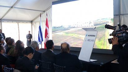 primer laboratorio de elaboracion de productos farmaceuticos derivados del cannabis