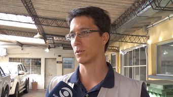 la rabia es una enfermedad extremadamente letal: especialistas recomiendan evitar contacto con murcielagos