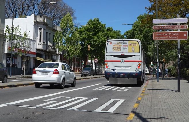 solo-bus-omnibus-senda-circulacion