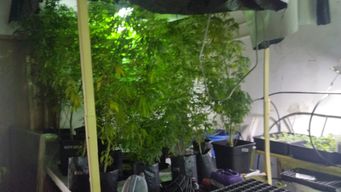 operacion malefica: 20 condenados por venta de drogas  