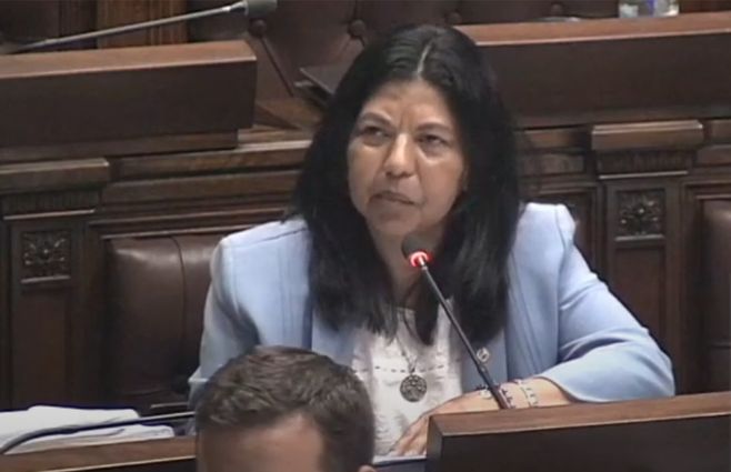 elsa-capillera-parlamento.jpg