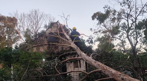 Registro de un árbol caído sobre una casa en Barra de Chuy. Foto: Willan Dialutto.&nbsp;
