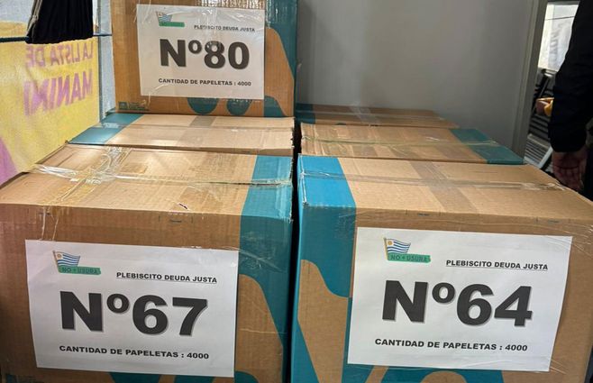 Las cajas con las firmas de Cabildo Abierto. Foto: Valeria de los Santos, Subrayado.