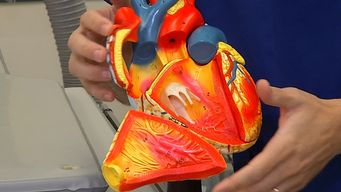 se realizo por primera vez cirugia para corregir insuficiencia cardiaca en la valvula tricuspidea