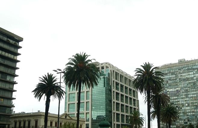 NUBLADO-plaza-independencia-palmeras-estado-del-tiempo-nuboso-nubes