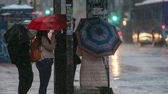 Foto: FocoUy. Foto: FocoUy.