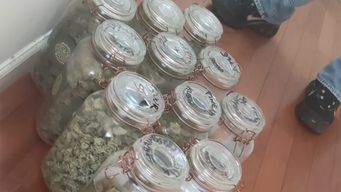 operacion malefica 4.0: 15 detenidos en 25 allanamientos en canelones, montevideo, rivera y maldonado
