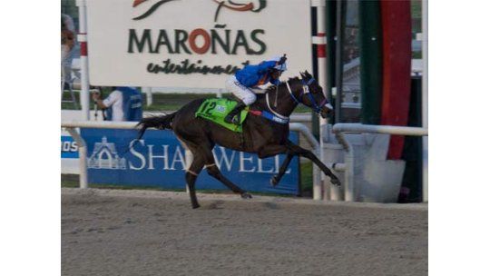 GP Municipal, la revancha del Ramírez; este domingo en Maroñas