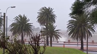 sabado soleado con maxima de 12ºc en la zona costera por influencia de vientos de aire polar