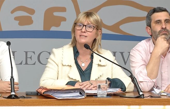 lustemberg-danza-senado