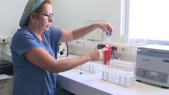 msp volvio a autorizar el metodo ropa,  para que parejas lesbianas sean madres