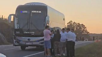 copsa lamento siniestro y aseguro que el peaton aparecio de improviso y que el desenlace fue inevitable