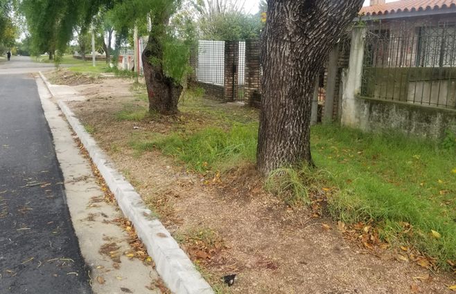 Muerto-Sayago.jpg
