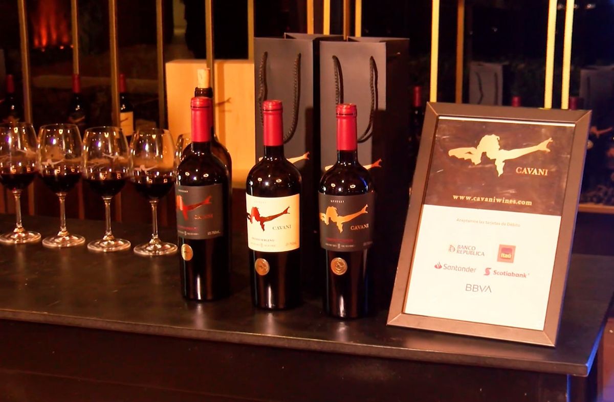 Foto: Subrayado. Lanzamineto, vinos Cavani. Foto: Subrayado. Lanzamineto, vinos Cavani.