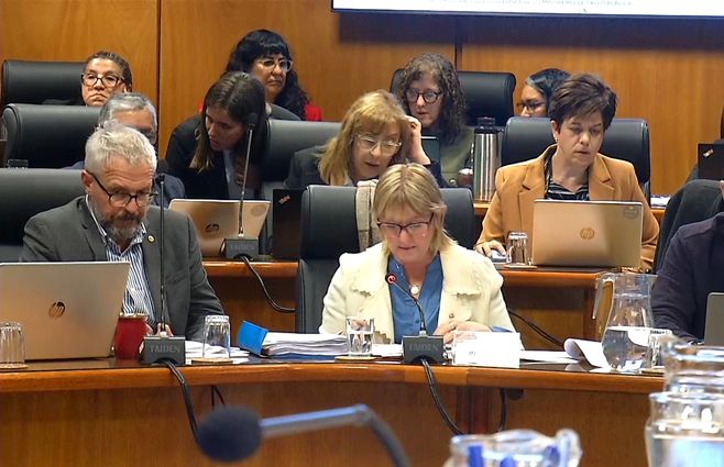 cristina-lustemberg-parlamento-por-presupuesto