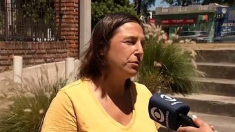 una docena de animales murio por uso de pirotecnia en fiestas de ano nuevo, informo plataforma animalista