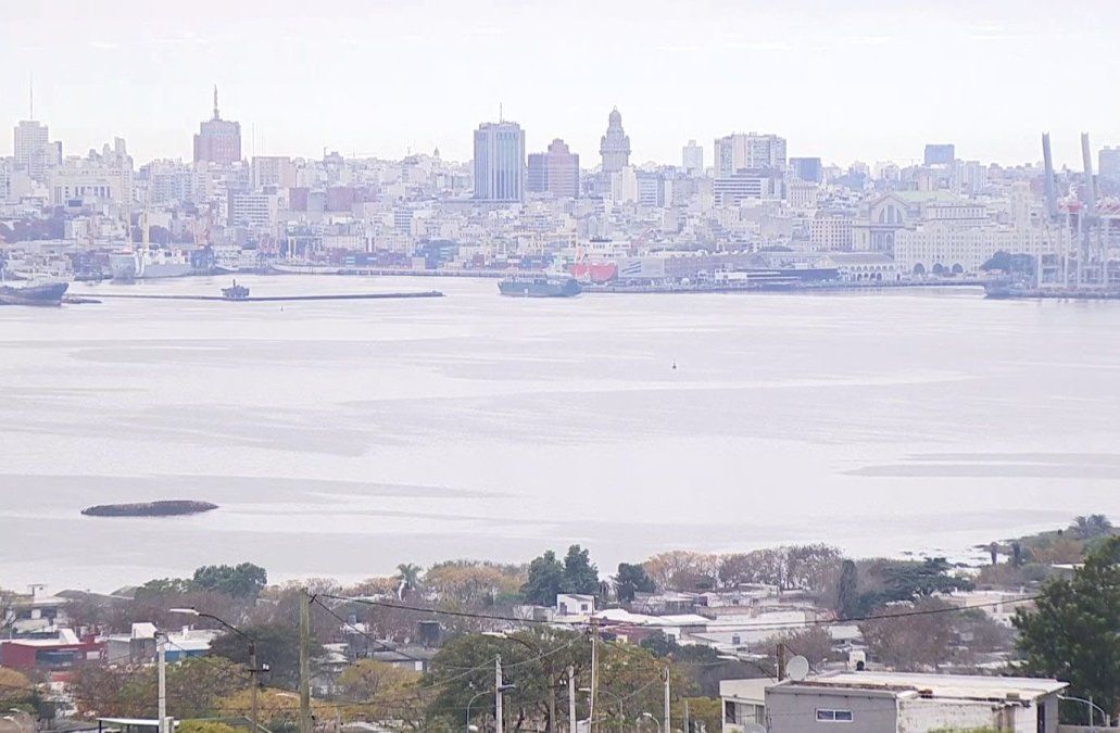 Puerto de Montevideo: sindicato de TPC levanta el paro y trabajadores retoman tareas habituales