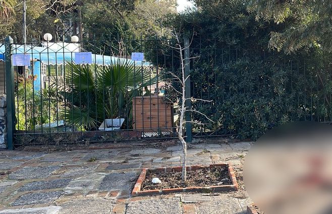Parque Rodó: la zona donde ocurrió el homicidio en la noche del martes 8 de agosto. Foto: Paola Botti, periodista de Subrayado.