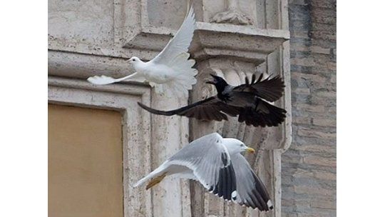Dos aves atacaron a las palomas de la paz lanzadas por el papa
