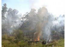 Controlan incendio en Parque del Plata; vecino agredió a Bomberos