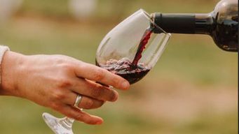 gobierno habilita el vino sin alcohol y el parcialmente desalcoholizado a traves de un decreto