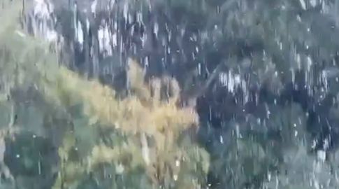 Videos: registran caída de nieve y aguanieve en varias zonas de Colonia y Soriano