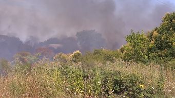 Foto: Subrayado, archivo. Incendio de campo.