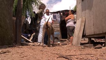 vecinos del asentamiento maracana sur cuentan como viven el dia a dia y piden mejoras