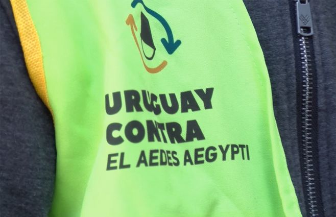 uruguay-contra-el-aedes-personal-relevamiento-mosquito-dengue-chikungunya.jpg