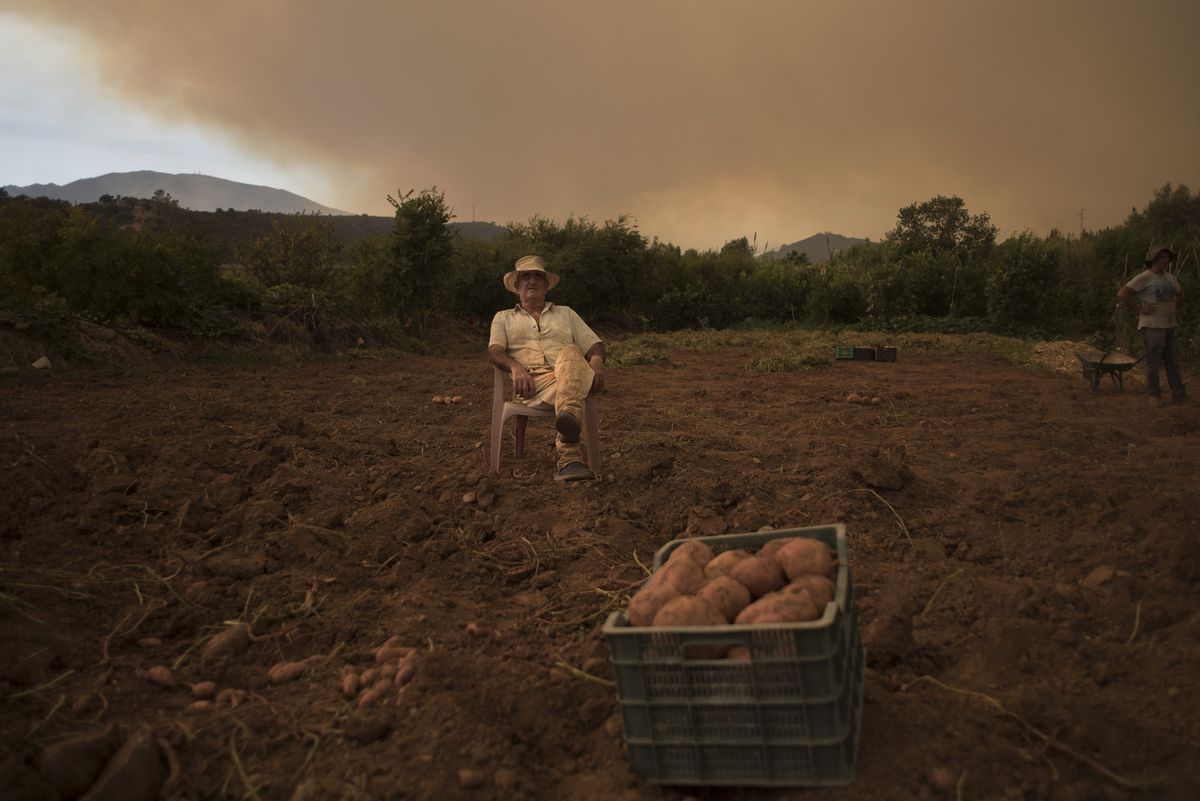 &nbsp;Un agricultor se sienta en su campo de patatas en Estepona, provinciade Málaga, mientras el humo cubre el cielo debido a un incendioforestal el 9 de septiembre de 2021.&nbsp;&nbsp;