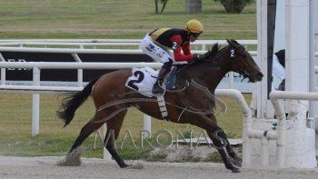 Subrayado | MICRO TURF 10 D DIC