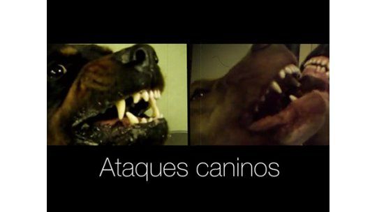 Subrayado Investiga: ataques caninos