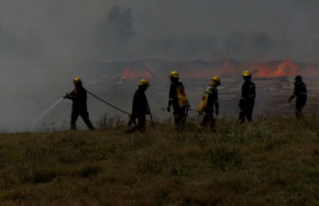 Incendio forestal. Foto: archivo Subrayado.