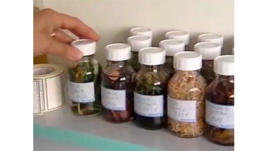 Asociación afirma que gotas suspendidas por MSP no son homeopatía