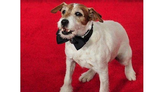 Obama se reunirá con Uggie, el perro del film El Artista