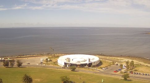 Homicidio en el Kibón: la víctima es uno de los hinchas de Peñarol que estuvo detenido en Brasil