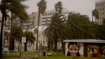 Triple advertencia por vientos fuertes y persistentes. Imagen de archivo.&nbsp;