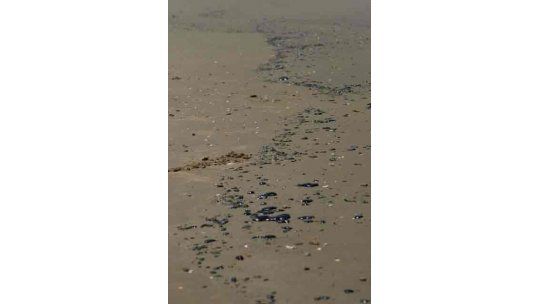 manchas petróleo