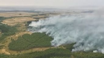 lacalle hablo de la responsabilidad social de las forestales para prevenir incendios