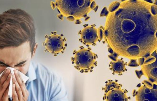 Imagen: www.saq.org.uy&nbsp;