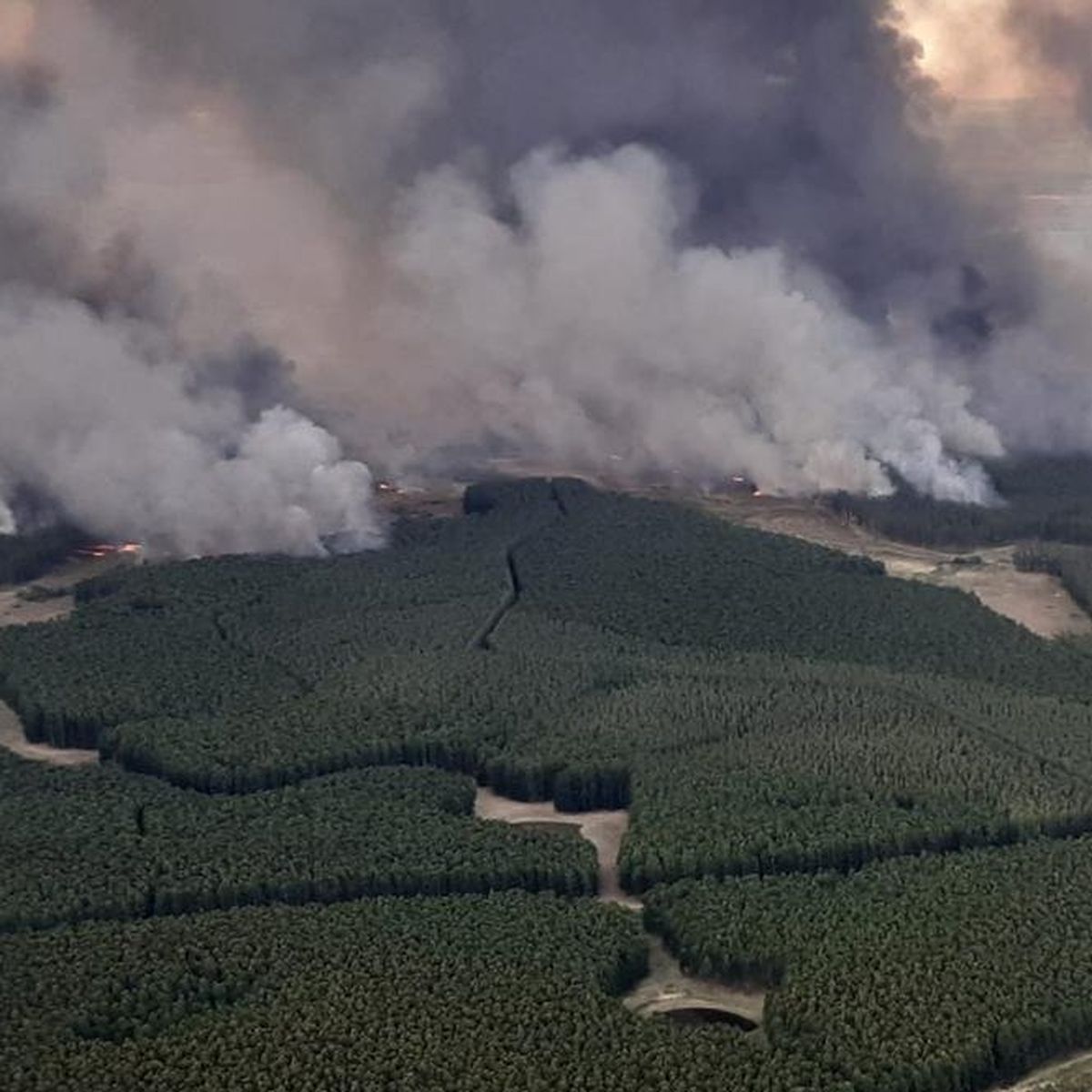 Incendio en Algorta alcanza 5.000 hectáreas y autoridades evalúan evacuación masiva