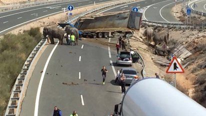 Lugar del accidente. Foto: Gregorio Serrano, director general de Tráfico del Ministerio del Interior de España/Twitter.