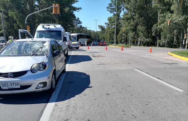 WhatsApp Image 2022-03-02 at 19.10.08.jpeg