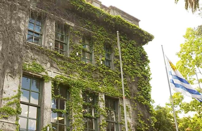 instituto-crandon-casos.jpg