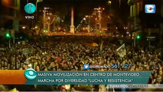diversidad