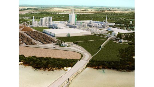 En 15 días comenzará a funcionar Montes del Plata, según Dinama
