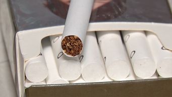 gobierno aprobo decreto que prohibe a tabacaleras acceder a beneficios tributarios de ley de inversiones