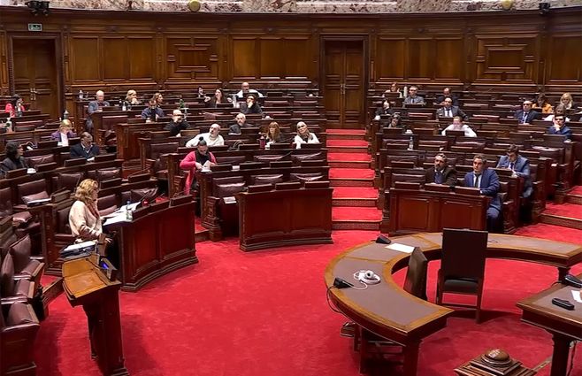 diputados-parlamento-ingreso-intendencias.jpg