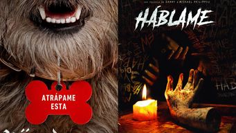 en cartelera, en varias salas: hijos de perra y hablame, recomendados para ver en el cine